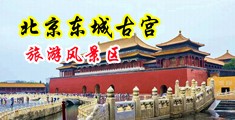 国产美女射精喷水水多多中国北京-东城古宫旅游风景区